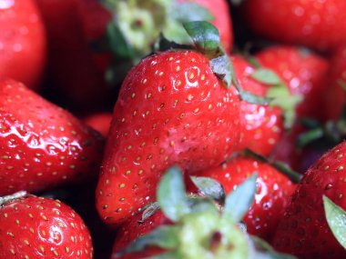 güzel olgun çilek berry bir bahçe ürün kapsamında