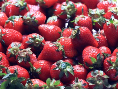 güzel olgun çilek berry bir bahçe ürün kapsamında