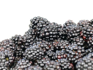 büyük Olgun blackberry Bahçe bir ürün olarak