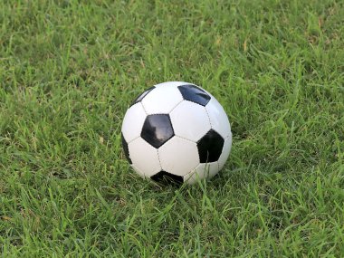 futbol topu oyun alanı otların arasında yer alır.