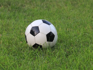 futbol topu oyun alanı otların arasında yer alır.