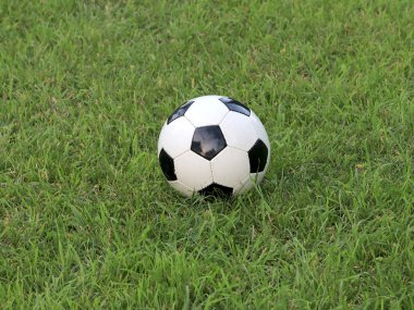 futbol topu oyun alanı otların arasında yer alır.