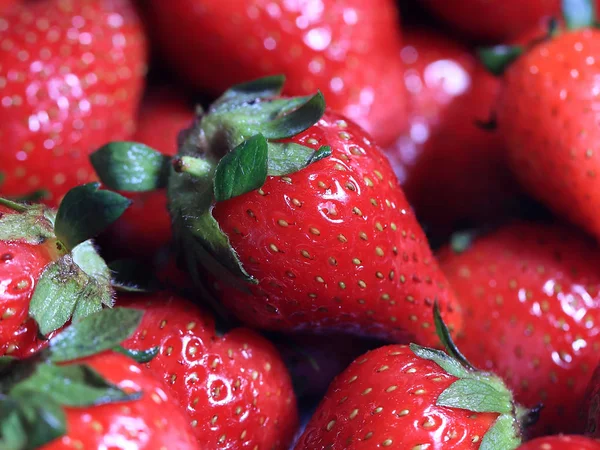 Beautiful Ripe Strawberry Berry Part Garden Crop — Stock Photo, Image