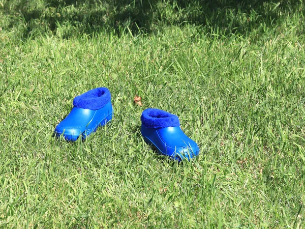 Rubber Schoenen Voor Tuinieren Staande Gras Gazon — Stockfoto