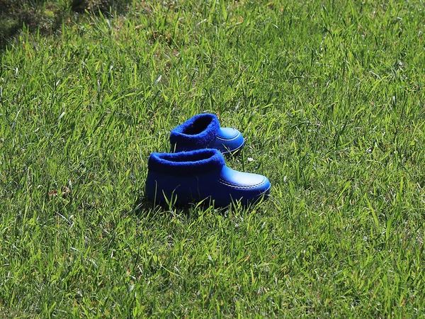 Rubber Shoes Gardening Standing Grass Lawn — Stock Photo, Image