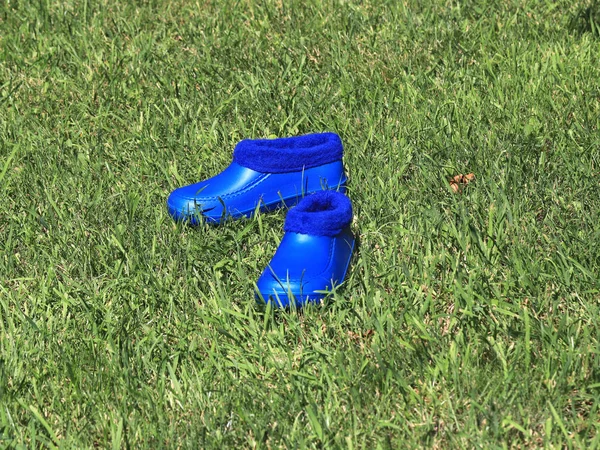 Гумове Взуття Садівництва Стоячи Газоні — стокове фото