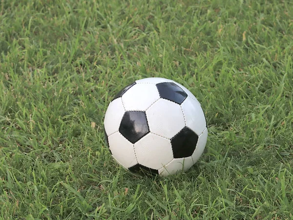 Pelota Fútbol Encuentra Hierba Del Campo Juego — Foto de Stock