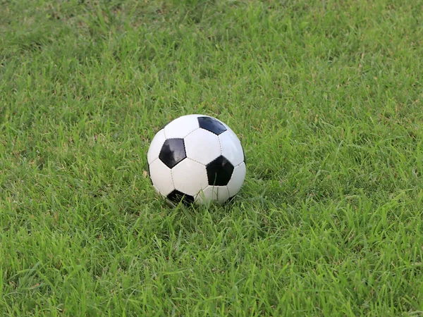 Piłka Nożna Leży Trawie Pola Gry — Zdjęcie stockowe