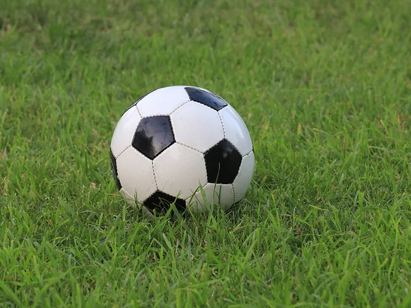 futbol topu oyun alanı otların arasında yer alır.