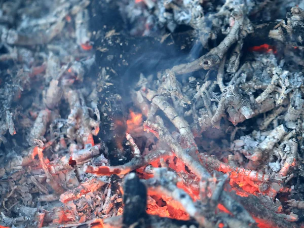 Пожар Горячий Уголь Время Лесного Пожара Природная Катастрофа — стоковое фото