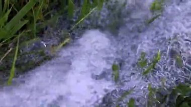 temiz su ve yeşil çim çim akan bir dere