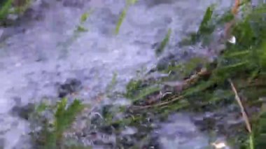 temiz su ve yeşil çim çim akan bir dere