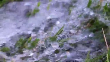 temiz su ve yeşil çim çim akan bir dere