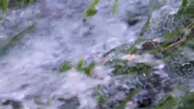 temiz su ve yeşil çim çim akan bir dere