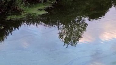 bir bulutlu gökyüzü sakin su yüzey yansıması