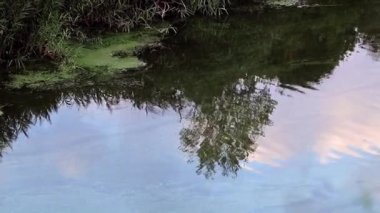 bir bulutlu gökyüzü sakin su yüzey yansıması