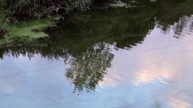 bir bulutlu gökyüzü sakin su yüzey yansıması