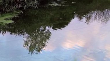 bir bulutlu gökyüzü sakin su yüzey yansıması