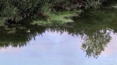 bir bulutlu gökyüzü sakin su yüzey yansıması