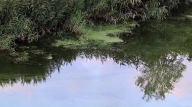 bir bulutlu gökyüzü sakin su yüzey yansıması