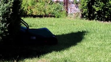 bir elektrik biçme ile Yeşil taze çim çim biçme