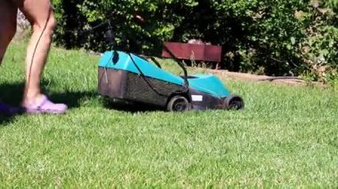 bir elektrik biçme ile Yeşil taze çim çim biçme