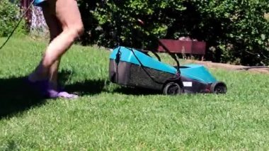 bir elektrik biçme ile Yeşil taze çim çim biçme