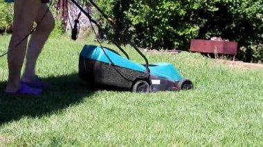 bir elektrik biçme ile Yeşil taze çim çim biçme