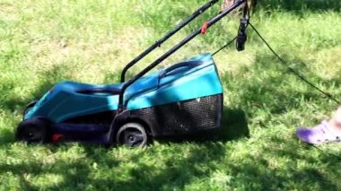 bir elektrik biçme ile Yeşil taze çim çim biçme