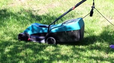 bir elektrik biçme ile Yeşil taze çim çim biçme