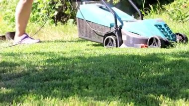 bir elektrik biçme ile Yeşil taze çim çim biçme