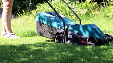 bir elektrik biçme ile Yeşil taze çim çim biçme