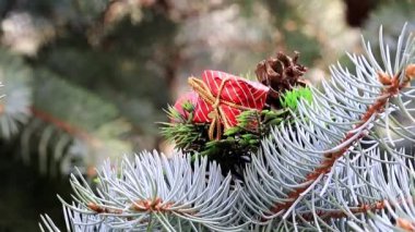 Şenlikli bir çam bir olayın arifesinde Noel süsler
