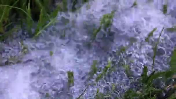 Ein Fließender Fluss Sauberen Wassers Und Ein Grüner Rasen — Stockvideo