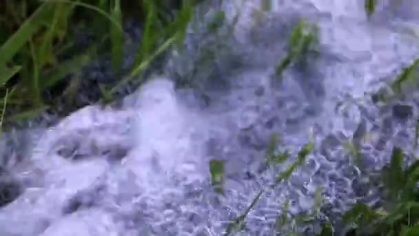 Fluxo Fluindo Água Limpa Gramado Grama Verde — Vídeo de Stock