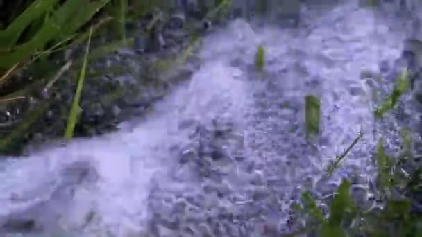 Ruisseau Coulant Eau Propre Une Pelouse Verte — Video