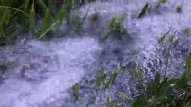 Płynący Strumień Czystej Wody Zielona Trawa Trawnik — Wideo stockowe