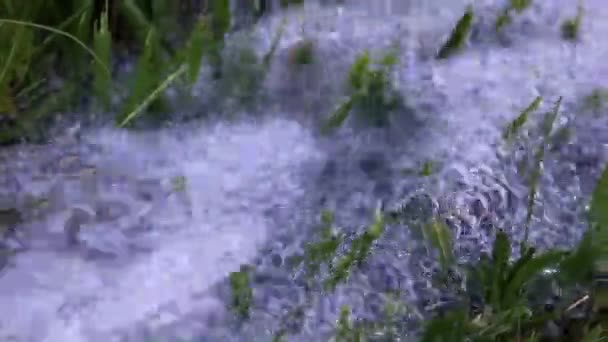 Een Vloeiende Stroom Van Schoon Water Een Groene Gras Gazon — Stockvideo