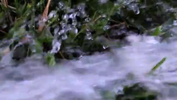 Ein Fließender Fluss Sauberen Wassers Und Ein Grüner Rasen — Stockvideo
