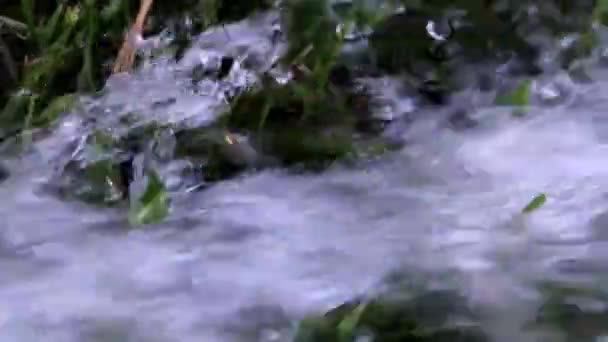 un ruisseau coulant d'eau propre et une pelouse verte 