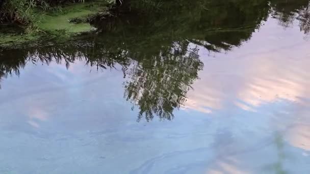 Weerspiegeling Van Een Bewolkte Hemel Een Kalm Wateroppervlak — Stockvideo