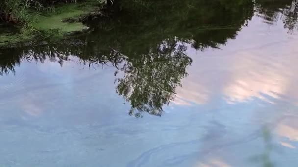 Reflexion Eines Bewölkten Himmels Einer Ruhigen Wasseroberfläche — Stockvideo