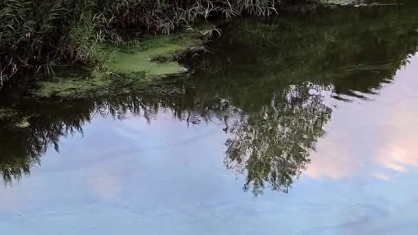 Отражение Облачного Неба Спокойной Водной Поверхности — стоковое видео