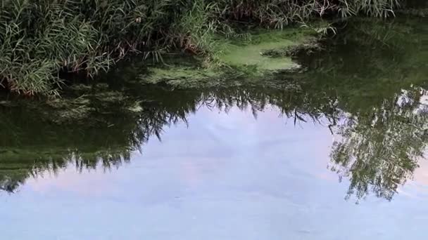 Riflessione Cielo Nuvoloso Una Superficie Acqua Calma — Video Stock