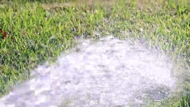 Drenken Gazon Gras Met Een Krachtige Waterstraal — Stockvideo