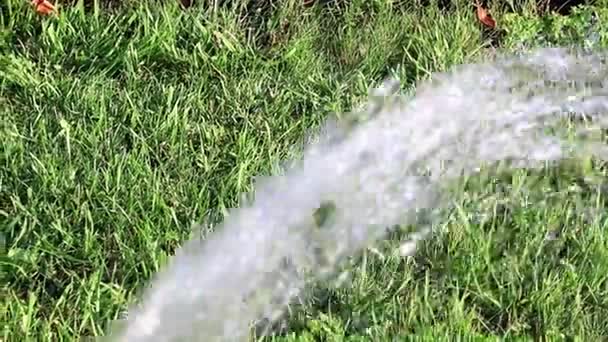 強力なウォーター ジェットと芝生の草に水をまく — ストック動画