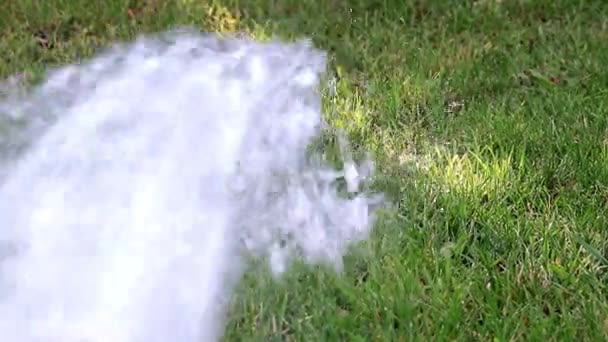 Podlewanie Trawnika Trawy Strumieniem Wody Silne — Wideo stockowe