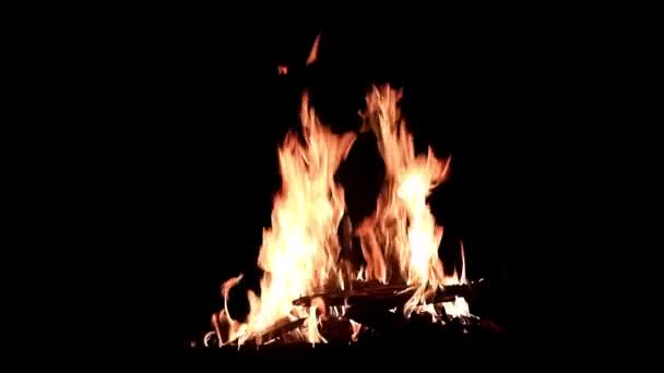 Яркие Языки Открытого Пламени Темноте Лета — стоковое видео