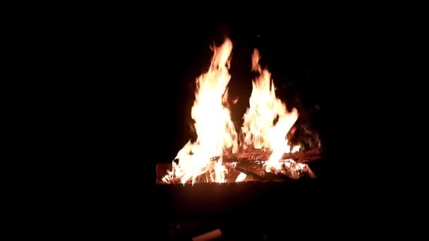 Línguas Brilhantes Chama Aberta Escuridão Verão — Vídeo de Stock