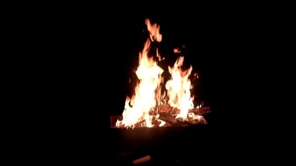 Langues Vives Flamme Nue Dans Les Ténèbres Été — Video